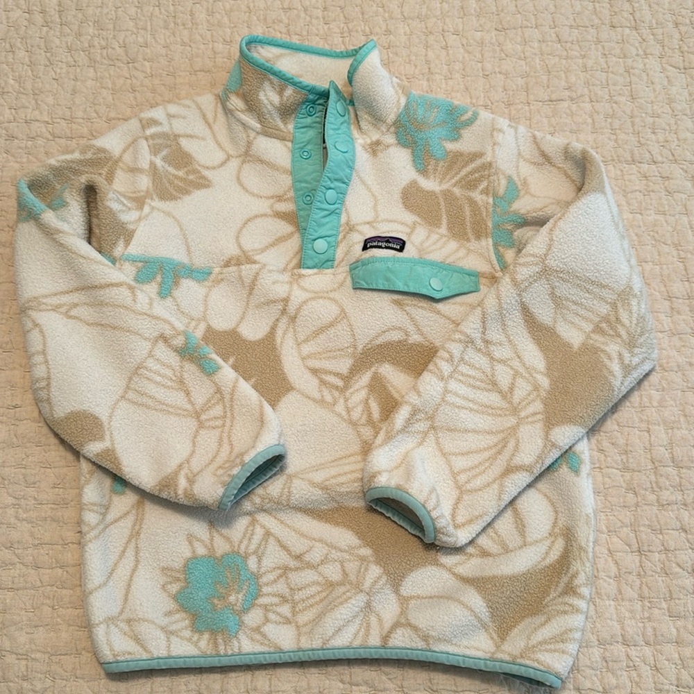 Patagonia Synchilla Fleece